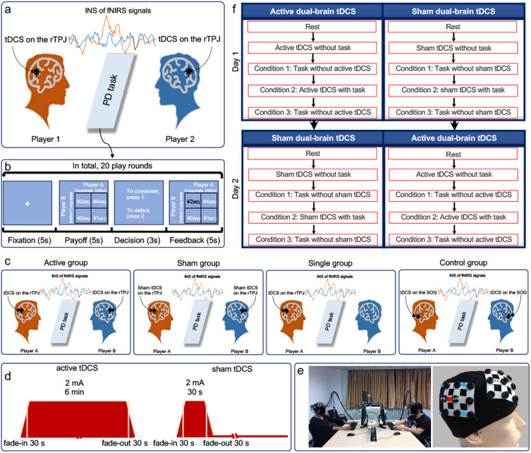 Non-invasive dual-brain stimulation facilitates social cooperation through enhancing interpersonal neural synchronization