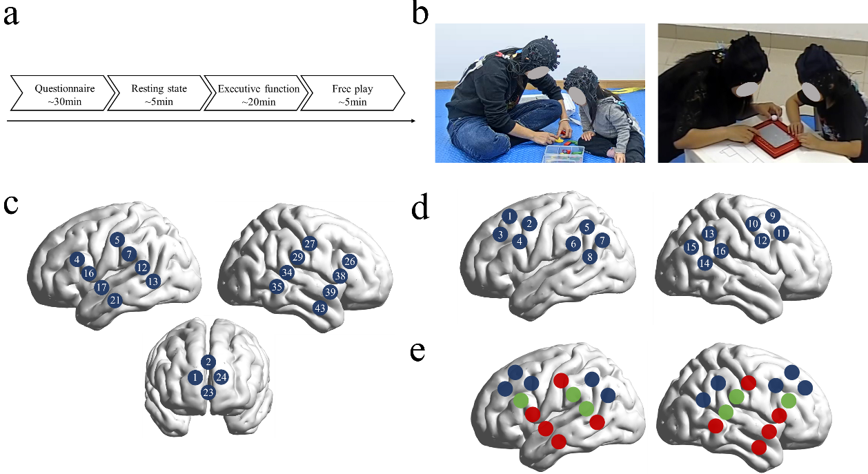 A Shift in Brain Functional Systems During Mother-Child Neural Synchrony Marks Children's Cognitive Development