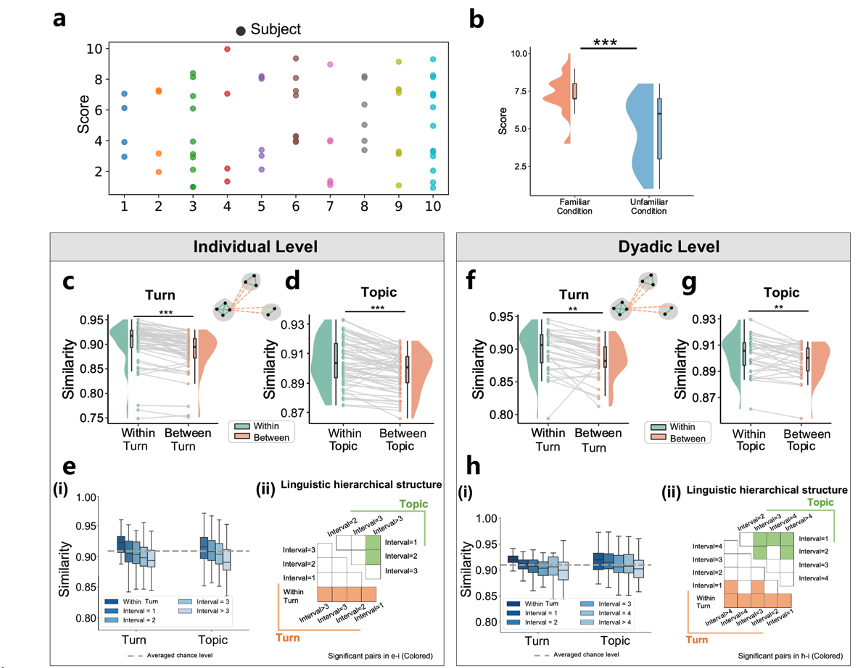 The cortical architecture representing the linguistic hierarchy of the conversational speech